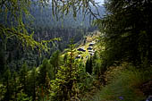 Val Malenco - Verso il Rifugio Bosio. 